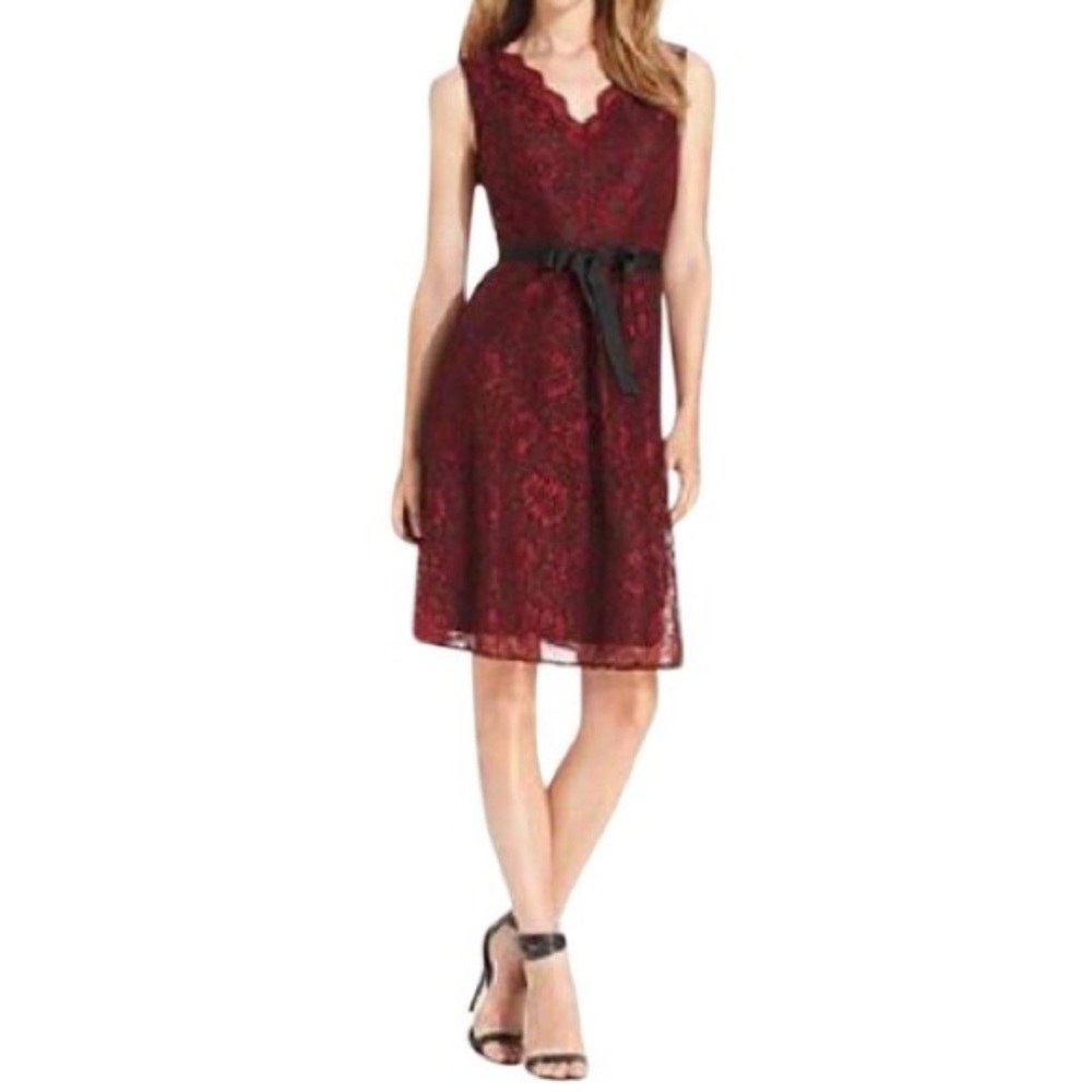 Calvin Kline lace dress